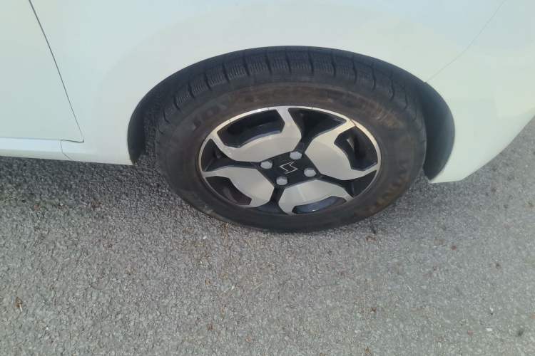 Used SOL E10X 2022 Flower Fairy Style Baby's Breath
