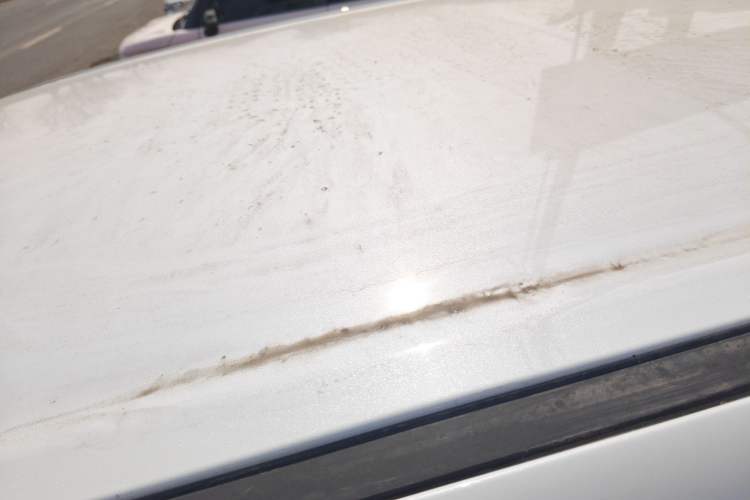 Used Cowin October 2025 Mate 300km Surfing Edition