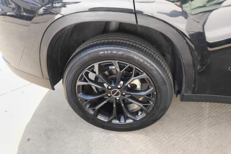 Used EXEED TX 2020 1.6T Two-Wheel Drive Star Edition