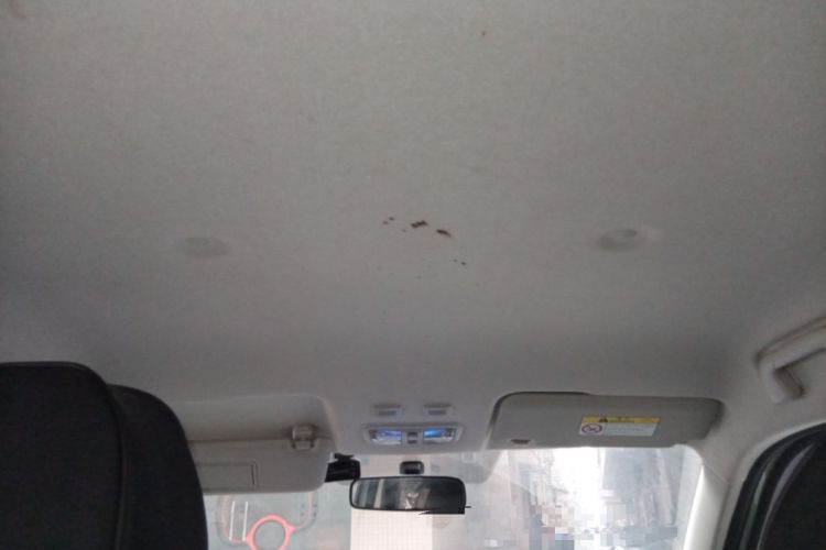 Used ORA White Cat 2020 305 km Luxury Version Headliner