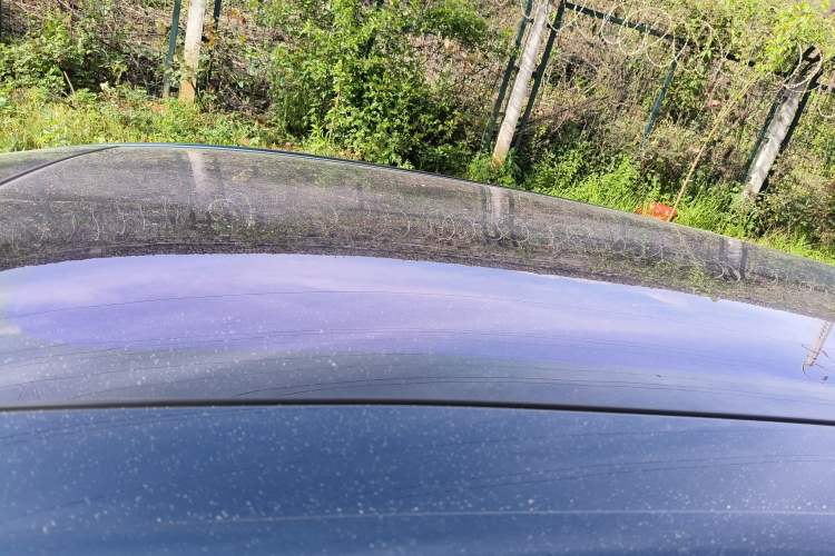 Used FORTHING Yacht 2023 1.5T DCT Starry Sky Flagship Edition Roof