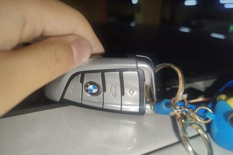 Used BMW 5 Series New Energy 2019 Updated Version 530Le Luxury Package
