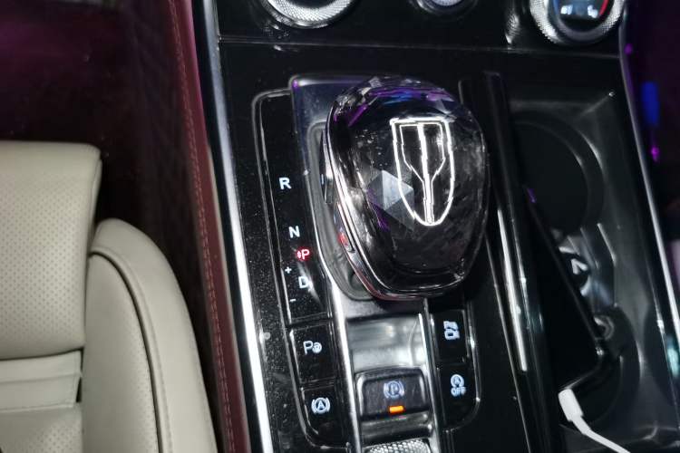 Used Hongqi H9 2020 2.0T Smart Connect Flagship Edition