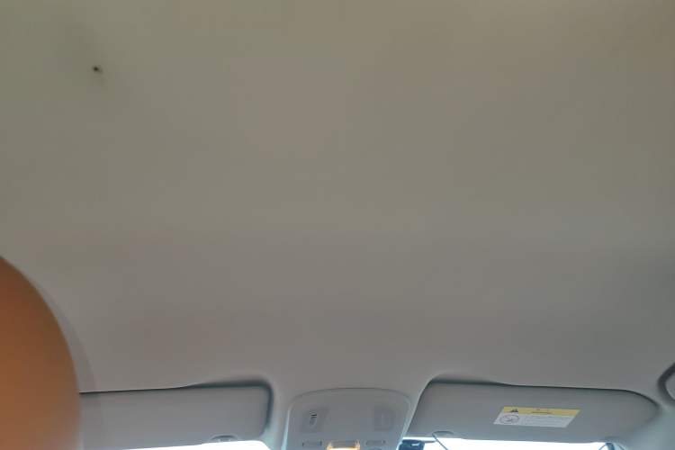 Used Citroen C4 Sega 2016 1.6L Automatic Luxury Model Headliner