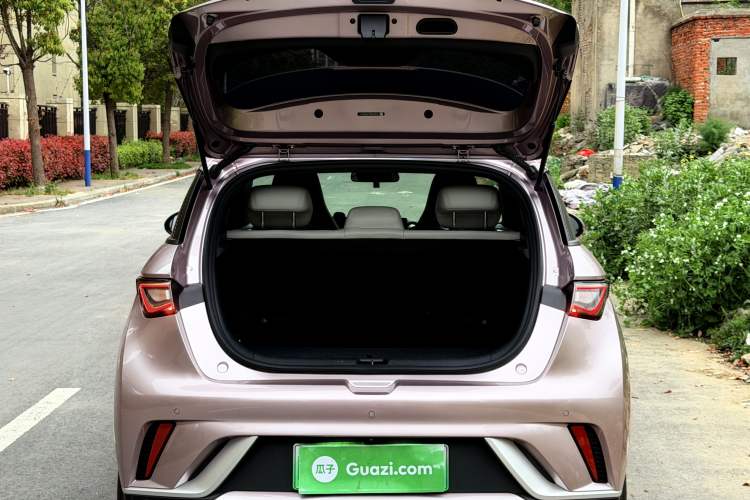 Used BYD Dolphin 2024 Honor Edition 420km Freedom Version
