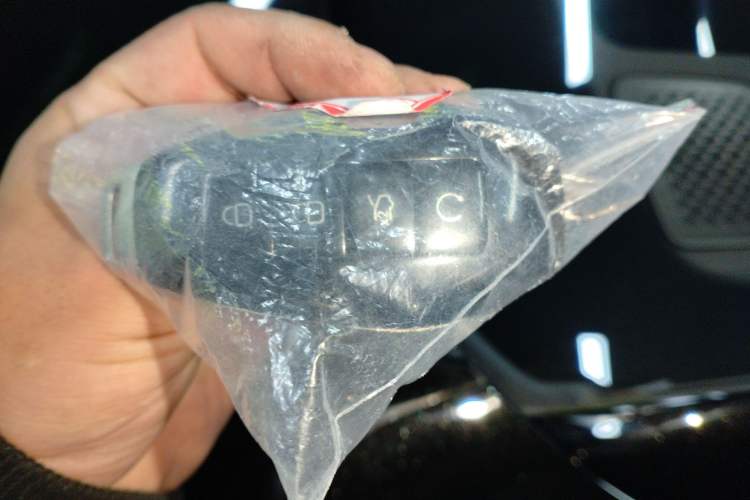 Used Denza Z9 2024 1100 km Four-Wheel Drive Max Version