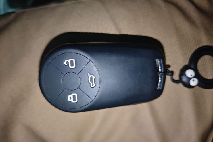 Used ORA Good Cat 2021 400km Standard Range Athena Edition Lithium-Ion Battery
