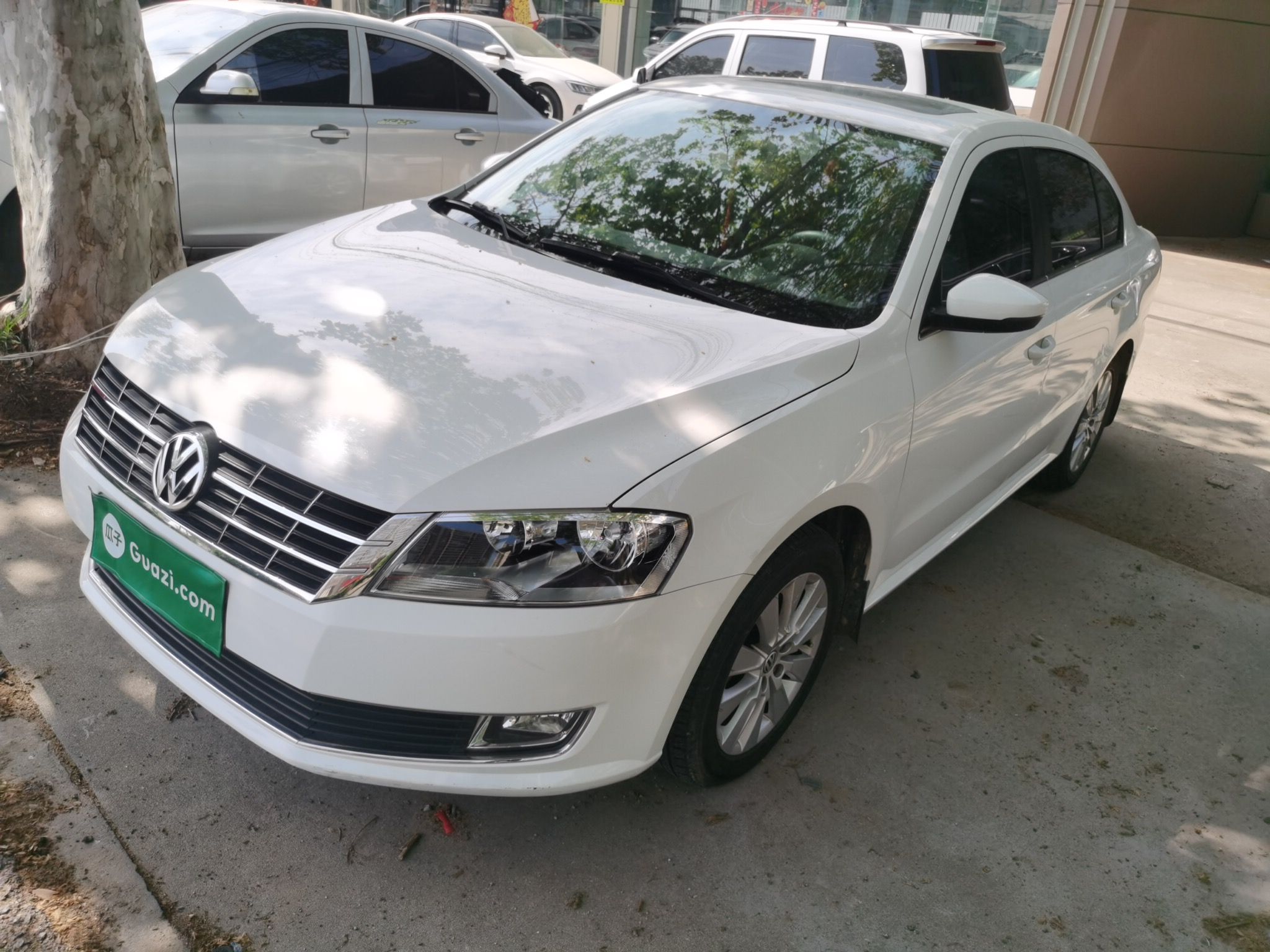 Parte inferior delantera