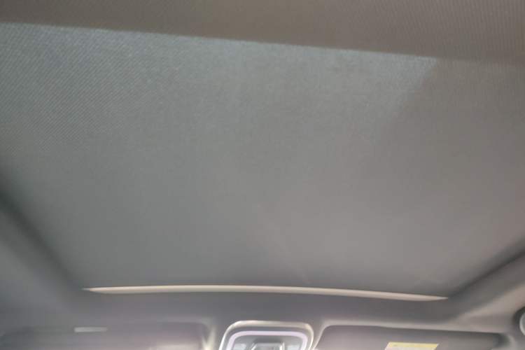 Used BYD Tang New Energy 2021 DM 2.0T Four-Wheel Drive Performance Edition Prestige Model Headliner