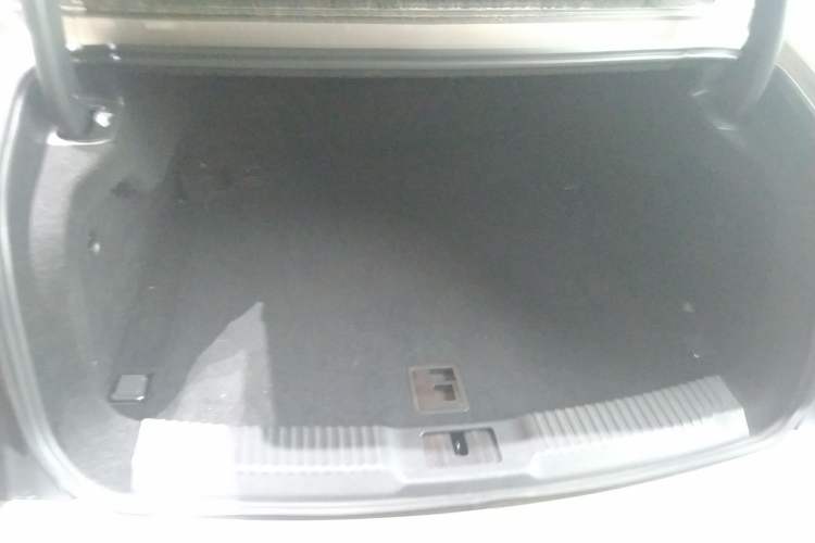 Used Hongqi H9 2020 2.0T Smart Connect Flagship Edition