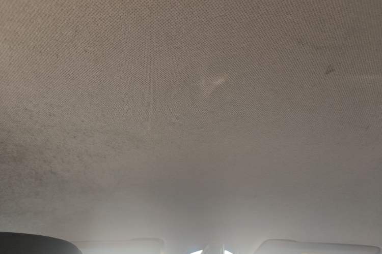 Used Wuling Victory 2020 1.5T CVT Elite Model Headliner