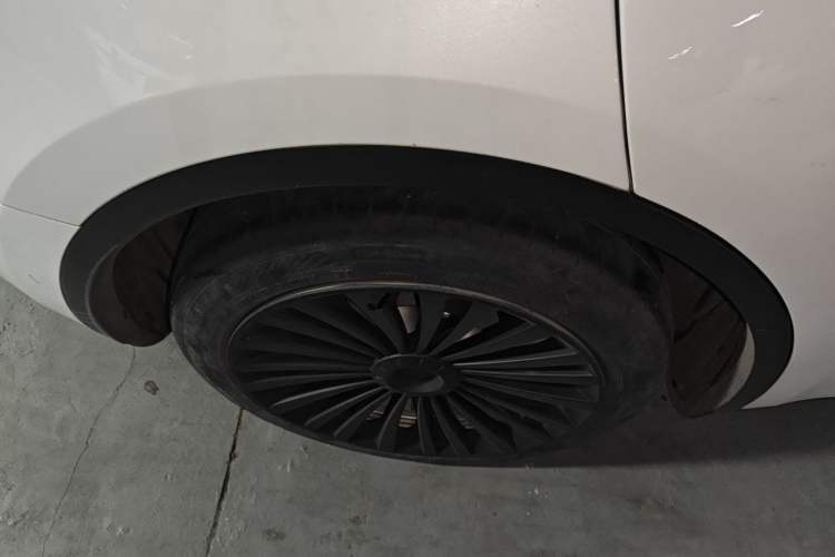 Used Tesla Model Y 2021 Standard Range Rear-Wheel Drive Version