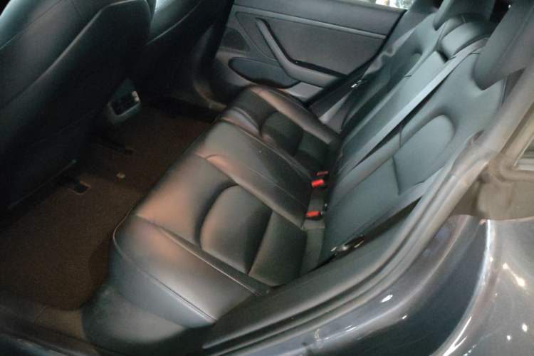 Used Tesla Model 3 2020 Revised Version Standard Range Rear-Wheel Drive – Upgraded Edition