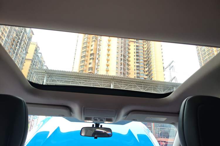 Used Ford Focus 2022 Sedan EcoBoost 180 Automatic Performance Edition Headliner