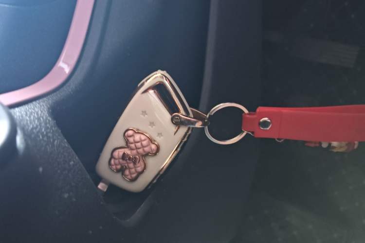 Used Baojun E300 2020 Star Travel Edition Interior 1