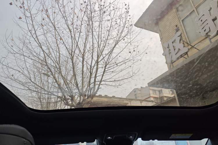 Used BYD Sealion 07 EV 2024 610 Long-Range Version Headliner