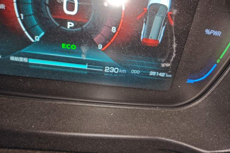 Used Dayun Yuehu 2021 32.85 kWh Two-Wheel-Drive Sprite Version Odometer Close Up