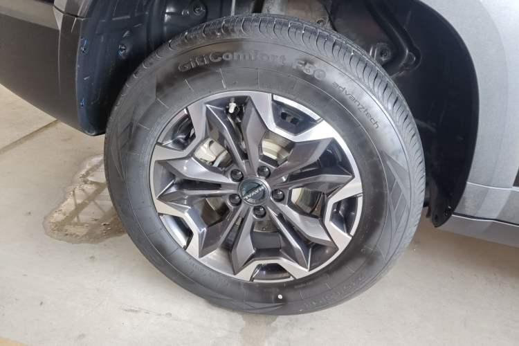 Used Haval DARGO 2024 2.0T DCT Chinese Rural Dog Edition
