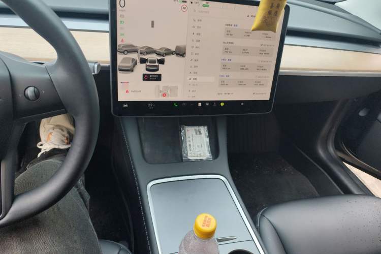 Used Tesla Model 3 2022 Rear-Wheel-Drive Version