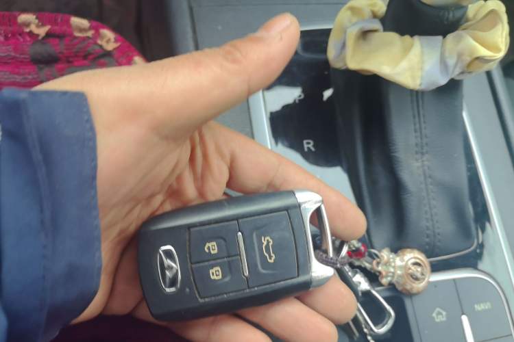 Used Cowin Xuanjie 2020 Updated 1.5L CVT Zhaо