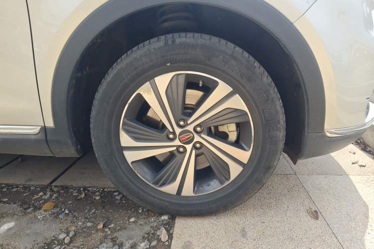 Used Hongqi HS5 2019 2.0T Smart Connect Flagship Edition
