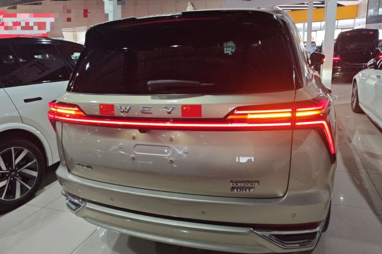 Used Wey Lanshan 2023 Four-Wheel Drive Ultra-Long Range Version Rear