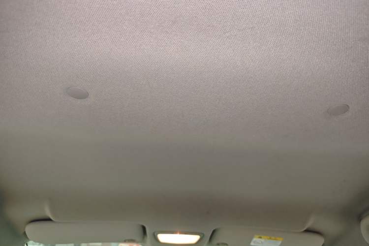 Used JMEV Xiao Qilin 2023 Joyful Edition 201km Comfort Model Headliner