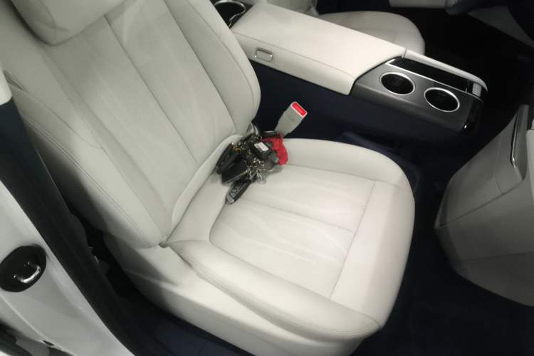 Used Buick GL8 New Energy 2024 Lu Zun Luxury Edition 7-Seater