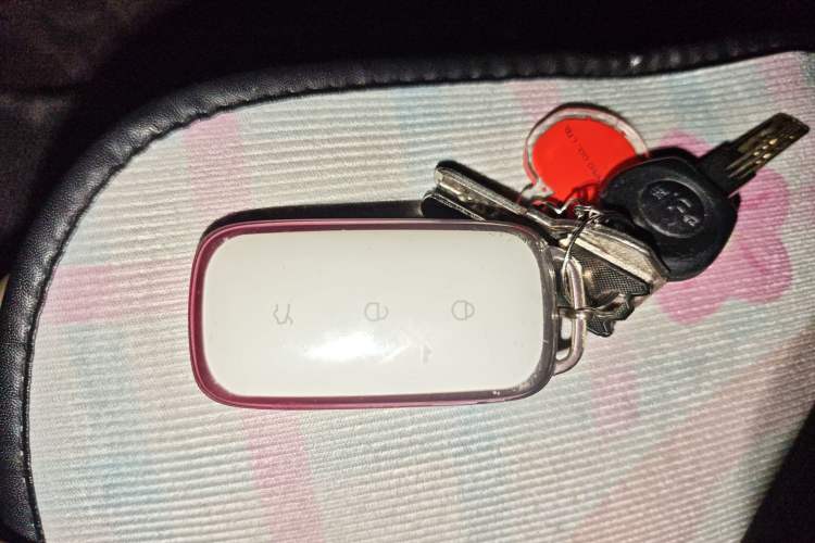 Used Geely Galaxy L6 2024 125km PLUS Dragon Edition
