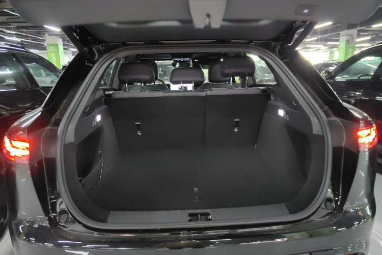 Used VOYAH COURAGE 2024 Four-Wheel Drive Global Edition