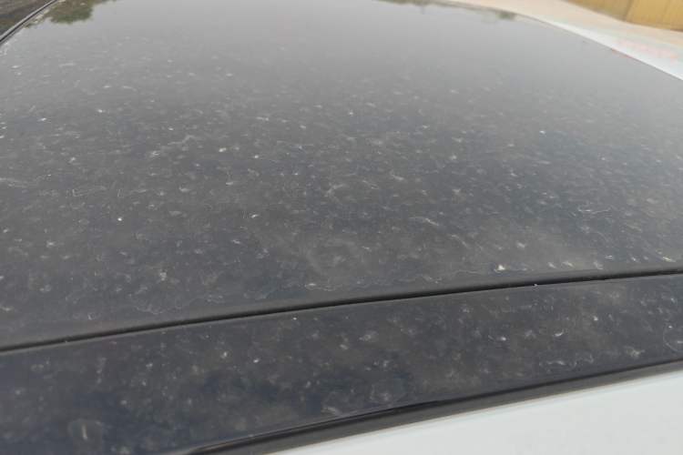 Used Audi A3 2020 Restyled Sportback 35 TFSI Entry-Level China VI Emission Standard Roof