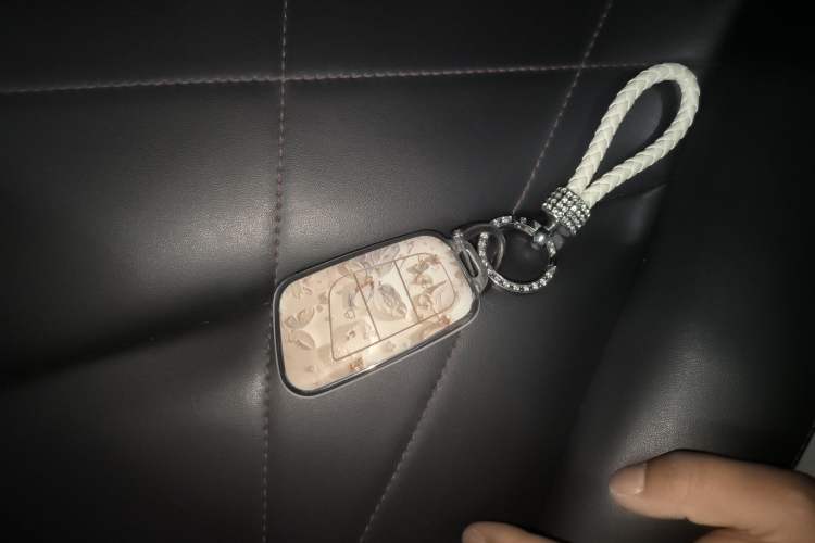 Used Chery QQ Little Ant 2022 Revised Version Sweet Pink Edition Half-Sugar Version Lithium Iron Phosphate 30.7 kWh 30 kW 301 km Interior 1