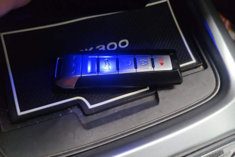 Used Tank 300 2021 Off-Road Edition 2.0T Challenger