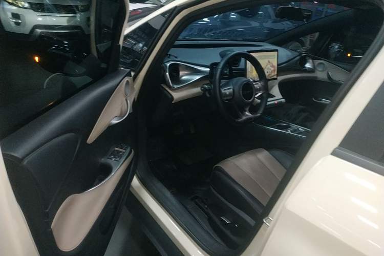 Used BYD Dolphin 2024 Honor Edition 420km Freedom Version
