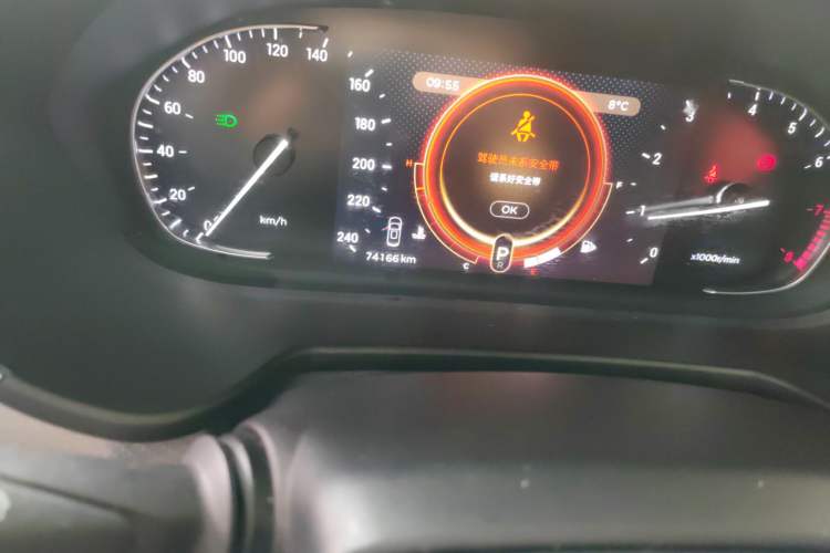 Used EXEED TX 2019 1.6T Four-Wheel Drive Platinum Edition
