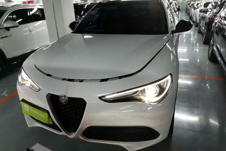Used Alfa Romeo Stelvio 2020 2.0T 280HP Luxury Edition
