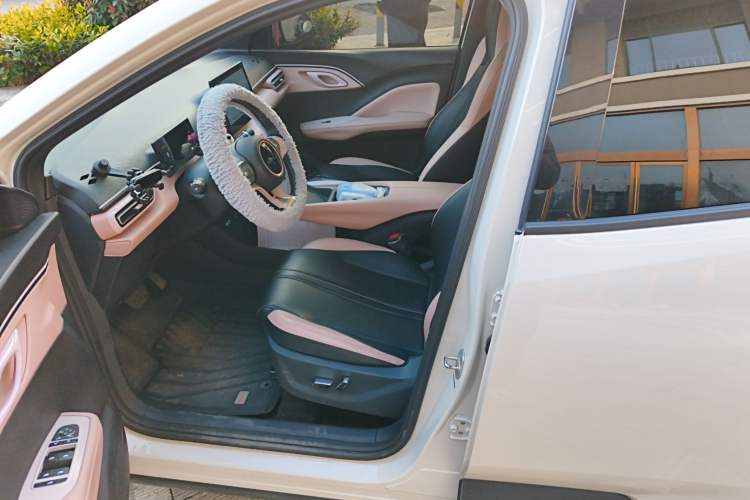 Used BYD Seagull 2025 305 km Free Version