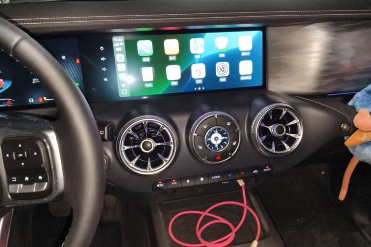 Used Tank 300 2024 2.0T Conqueror