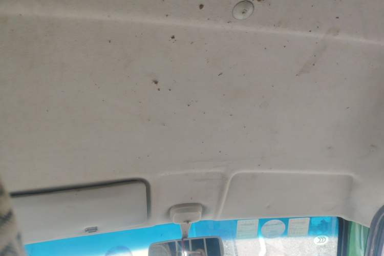 Used Dongfeng Xiaokang K05S  Headliner