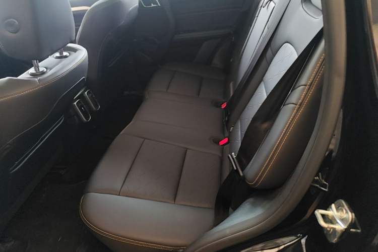 Used Haval DARGO 2022 2.0T DCT 4x4 Chinese Rural Dog Hunting Edition Left Rear Seat