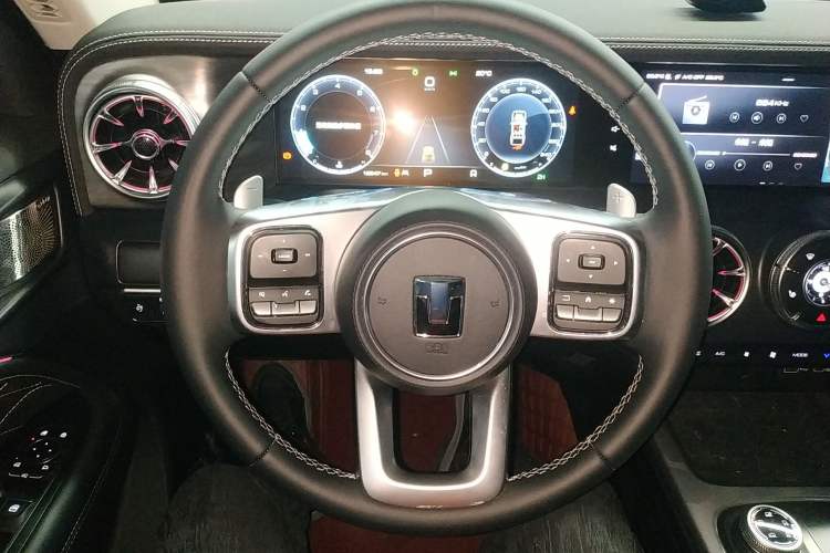 Used Tank 300 2024 2.0T Conqueror