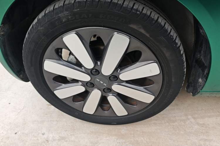 Used ORA Black Cat 2019 351 km Goddess Edition
