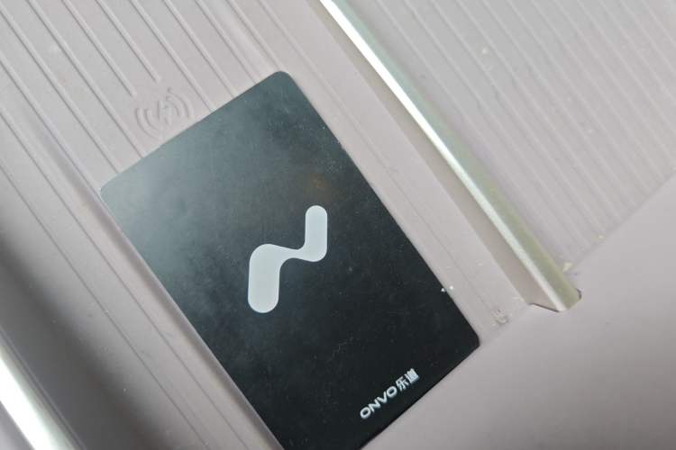 Used ONVO L60 2024 60 kWh Rear-Drive Version