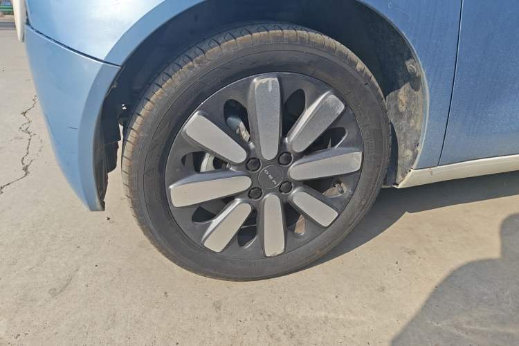 Used ORA Black Cat 2019 351 km Family Edition