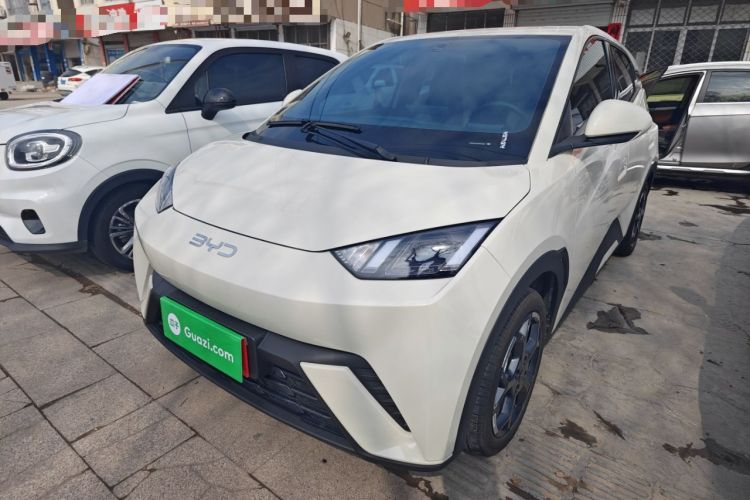 Used BYD Seagull 2025 305 km Free Version