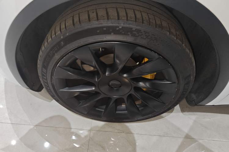 Used Tesla Model Y 2021 Standard Range Rear-Wheel Drive Version