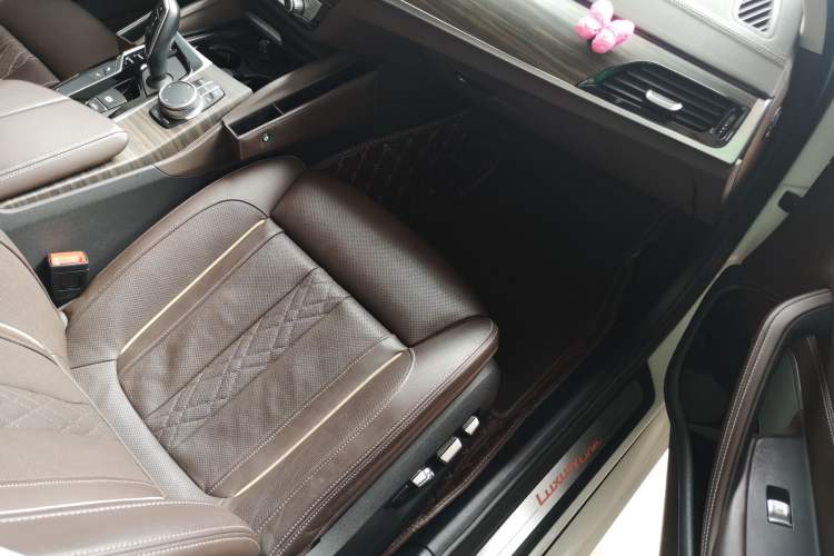 Used BMW 5 Series 2020 530Li Luxury Edition Premium Package