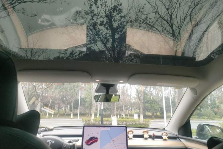 Used Tesla Model Y 2021 Standard Range Rear-Wheel Drive Version