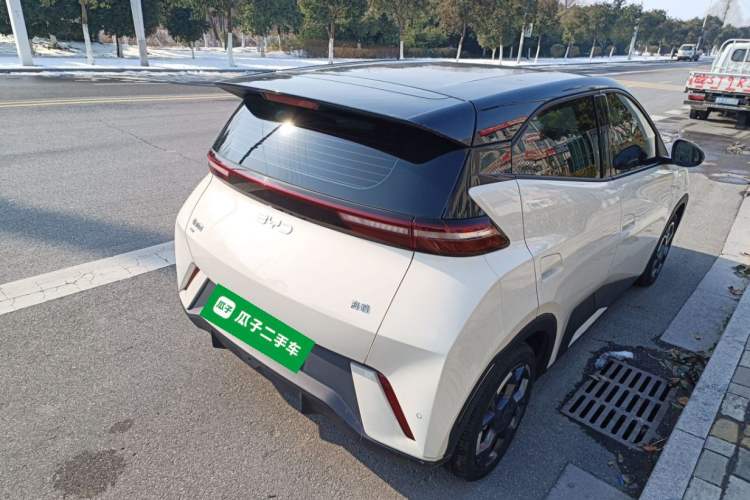 Used BYD Seagull 2025 305 km Free Version