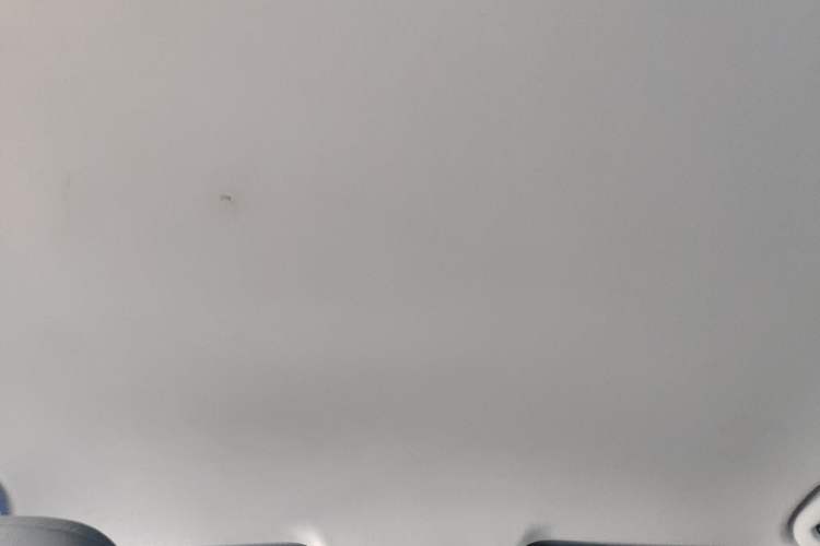 Used Chevrolet Monza 2024 1.5L Dual-Clutch Enjoyment Edition Headliner